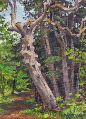 [Gnarly Dead Ironwood)