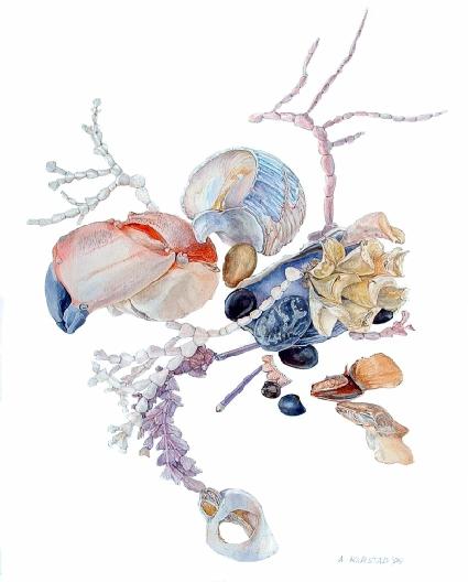 [Sombrio Beach Drift] 