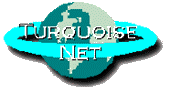 Logo Turquoise Net